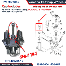 Tilt End Cap Yamaha outboard 60 70 75 85 90HP 3 Ram 6H1-43810-11-00 Stainless Steel FSM020SS