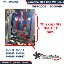 Tilt End Cap Yamaha outboard 60 70 75 85 90HP 3 Ram 6H1-43810-11-00 Stainless Steel FSM020SS