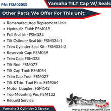 Tilt End Cap Yamaha outboard 60 70 75 85 90HP 3 Ram 6H1-43810-11-00 Stainless Steel FSM020SS