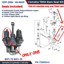 Yamaha 3 Cylinder TRIM Ram Seal Kit FSM034-2