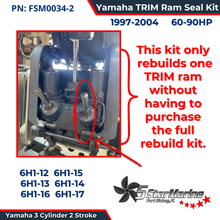Yamaha 3 Cylinder TRIM Ram Seal Kit FSM034-2