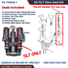 Yamaha V6 TILT Ram Seal Kit FSM036-1
