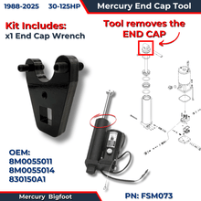 End Cap Removal Tool Mercury Single Ram FSM073