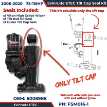 Evinrude ETEC Cap Seal Kit 75 -115hp ETEC 2006-2020 FSM016-1