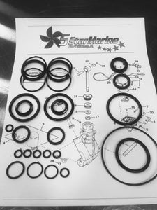 Rebuild Kit Johnson Evinrude OMC Trim & Tilt O-Ring & Seal Kit 434519 0434519