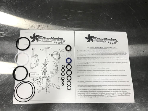 Rebuild Kit Evinrude Johnson Trim Tilt 25 35 40 48 50 HP 1989-2004 435894