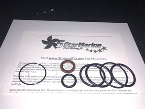 New OMC Cobra Stern Drive OEM Seal Kit 985060 BRP Trim & Tilt Cylinder