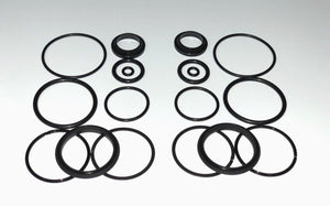 Evinrude Johnson Trim Tilt Cylinder seal kit 1970-1989 35-135HP 172575 174520