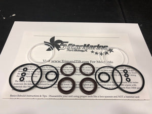 Volvo Penta SX DPS Trim Cylinder Ram Rebuild Kit Better than New 3 yr warranty